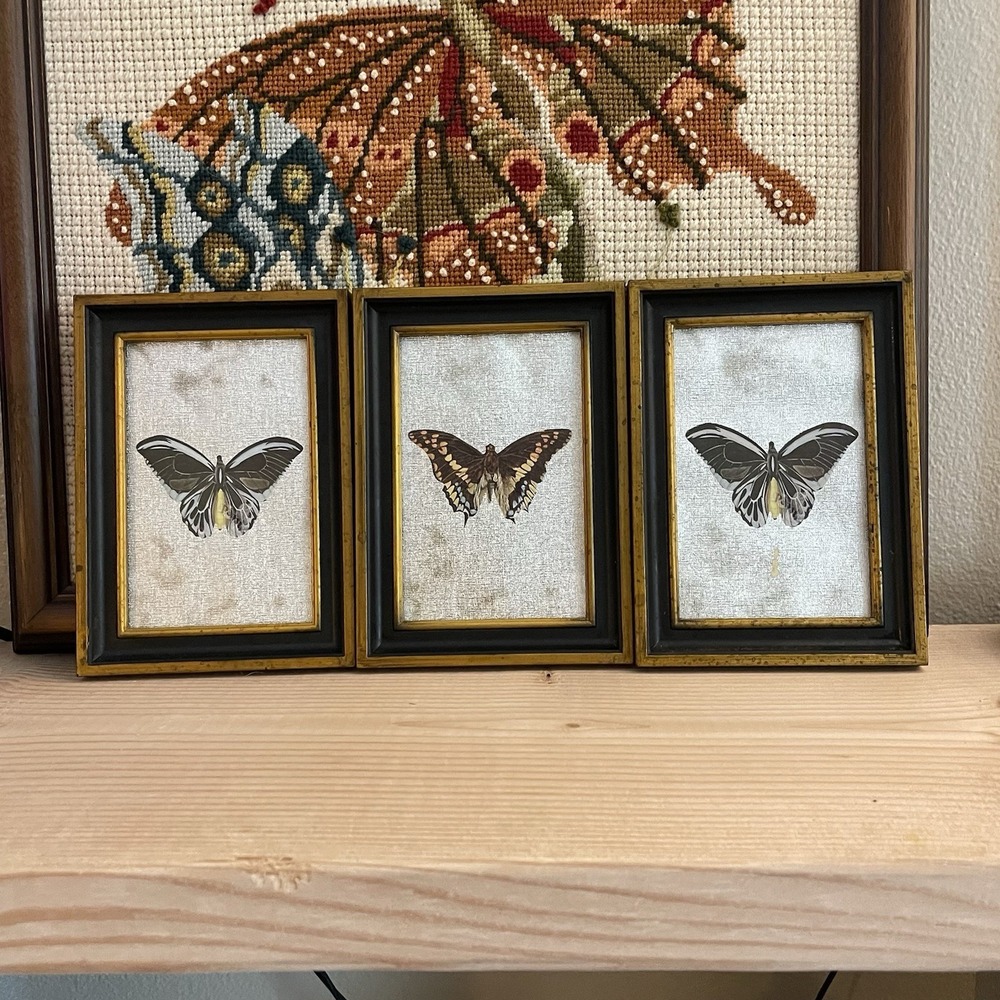 3 Vtg Set Foil Faux Butterfly Gold Framed Art MCM Set Witchy Cottage Boho